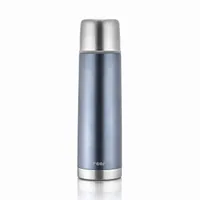 reer ColourCup Edelstahl-Isolierflasche 500 ml grau