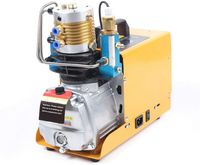 1800W Elektrische Hochdruckluftpumpe Luftkompressor Kompressorpumpe 0-30 MPA NEU 