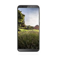 Gigaset Mobile GS185 Metal Cognac [13,8cm (5,5") HD+ Display, Android 8.1, 1.4 GHz Quad-Core, 13MP]