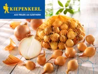 Steckzwiebeln Kiepenkerl gelb 500 g