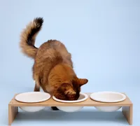 Navaris 3x Fressnapf aus Keramik Futterstation Set - Katzennapf Hundenapf 3 Stück - Futternapf Katze Hund - Napf in Schwarz Weiß