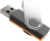 Zwei Farben USB Stick Swivel 1GB
