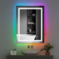WISFOR LED koupelnové zrcadlo 60 × 80 cm nástěnné zrcadlo Koupelnové zrcadlo s osvětlením pro koupelnu Ložnice Make-Up, barevné led zrcadlo do koupelny, stmívatelné bez mlhy s dotykovým spínačem