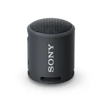 Sony SRS-XB100 Tragbarer Mono-Lautsprecher | Lautsprecher