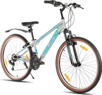 HILAND 26 Zoll Mountainbike für Herren und Damen, 21 Gänge Mountainbike, hochfester Stahlrahmen, V-Bremse, Hardtail MTB für Erwachsene,Grau