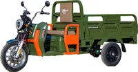 Elektrische Dreirad Cargo Trike 500 NC09 Grün EEC 25km/h Version Cargo Dreirad
