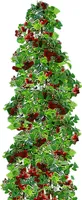 BALDUR Garten Japanische Säulen-Himbeeren, 1 Pflanze, Japanische Weinbeere, Rubus phoenicolasius Hybride Säulenobst, winterhart, platzsparende Säule für kleine Gärten, Balkone & Terrassen