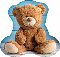 Tvarovaný polštář Medvídek Teddy