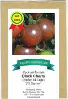 Schwarze Cherry-Tomate - süß, aromatisch - Black cherry - 20 Samen