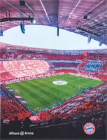 FC Bayern München Kuschelfleecedecke Allianz Arena