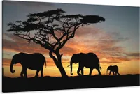Obraz 120 x 80 cm na plátně Slon africký 5066 - Obrázky/nástěnný obraz/umělecký tisk je připraven zarámovat