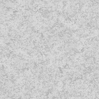 A.S. Création unit wallpaper Atraktivní hladká tapeta jednobarevná netkaná tapeta šedostříbrná 10,05 m x 0,53 m
