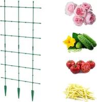 Rankgitter für Gartenpflanzen Rankhilfe, Gartenstütze für Kletterpflanzen, 120 x 60cm Gestell, Pergola, Leiter, Spalier für Tomaten, Gurken, Blumen, Blumenleiter, Pflanzenunterstützung,Blumentopfstäbe