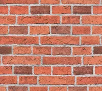A.S. Création papírová tapeta Dekora Natur 5, šedá, červená, 10,05 m x 0,53 m, 779816, 7798-16