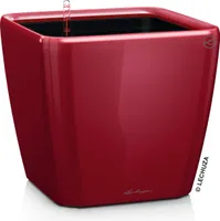 Lechuza Samozavlažovací květináč Quadro LS Premium, průměr 21 cm, červená