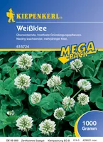 Weißklee Lirepa (1 kg) | Gründünger von Kiepenkerl