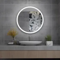 WISFOR LED Badspiegel Oval, 60×120cm