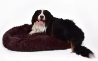 KomfortHome Tierbett Tierbett Plüsch Hunde- Katzenkissen rund, Braun 80 cm Waschbar Flauschiges Hundebett Katzenbett, Kuscheliges Hundebett