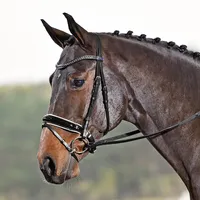 BUSSE Trense Luxury Trensenzaum mit Zügel Braun (Creme)/ Strass-hazel Warmblut