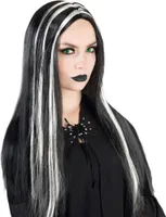 Perücke Hexe Schwarz Silber für Erwachsene Halloween Karneval Fasching Party