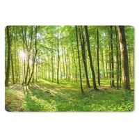 MuchoWow® Schreibtischunterlage Natur - Bäume - Wald - Grün - Sonnenlicht 60x40 cm - XXL Mauspad - Großes Mauspad
