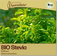 Stevia Samen Süßkraut Kräuter-Samen Saatgut Steviasamen