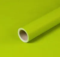 Geschenkpapier Lindgrün, einfarbig, Geburtstagspapier, 0,70 x 10 m
