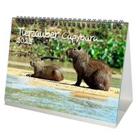 Tierzauber Capybara DIN A5 Tischkalender für 2025 Schwein Schweinchen - Seelenzauber