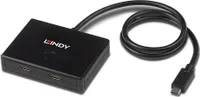 Lindy Hub - 2 x USB 3.2 Gen 1 - Desktop