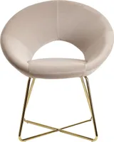 FineBuy Esszimmerstuhl Samt / Metall Küchenstuhl Polsterstuhl Stuhl Esszimmer