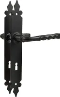 Türgriff Türklinke Türbeschlag aus Metall Schwarz matt auf Schild Buntbart