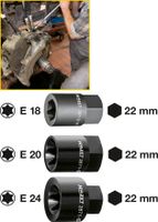 Bremssattel TORX® Einsatz 2871-E24 · E 24 ·  Außen-Sechskant 22 mm · Außen TORX® Profil · l: 39.5 mm