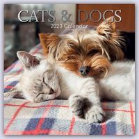 Cats & Dogs - Katzen & Hunde 2023 - 16-Monatskalender