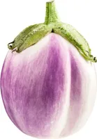 Aubergine di Rosa - 20 Samen