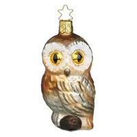 Wachsame Eule 10 cm - Inge-Glas 10082S015 Tief im Wald - Christbaumschmuck Glas mundgeblasen Deko Baumschmuck Strauchsch
