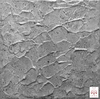 Polystyrol Paneelen XPS Styropor 50x50 cm – Betonoptik, Marmor Imitation | Leichte Wandverkleidung Deckenpaneele Moderne Raumgestaltung 0,25m²