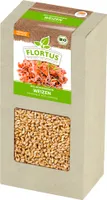 Keimsprossen Weizen (200 g) |Keimsprossen von FLORTUS