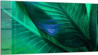 DEQORI Küchenrückwand Glas 100x50 cm 'Tropenblattstruktur' Spritzschutz Bad Rückwand