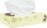 40 Boxen Kosmetiktücher | weiß | 2-lagig | Zellstoff | 20,5 x 21 cm