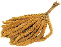 Versele-laga Prestige Spray Millet