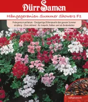 Dürr-Samen - Hängegeranien Mischung F1 einjährig 25 cm - Saatgut - 1158