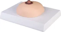 Erler-Zimmer Brustkrebs Tastmodell