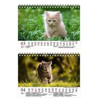 Seelenzauber Katzenzauber DIN A5 Wandkalender für 2022 Katzen und Katzenbabys