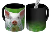 MuchoWow® Magický pohár Ošípané - Zvieratá - Veľké 350 ml Pohár na zmenu farby Darček Nápad na darček - Foto hrnček
