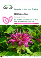 SAFLAX - Kräuter - Goldmelisse - 20 Samen - Monarda didyma