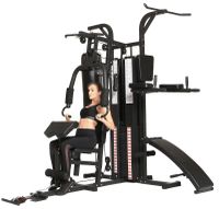 Dione HG5 - Fitnessstation - Multi-Gym - Krafstation mit Boxsack  - Einschließlich 65 kg Gewichte - Erweiterbar auf 100 kg - Homegym