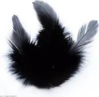 Hahnenfedern 10 cm - schwarz