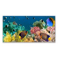 Wandbilder Glasbilder Druck auf Glas 125x50 Korallenriff Natur 