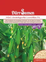 Dürr-Samen - Mini-Snackgurken Lunchbox F1 - Saatgut - 4263