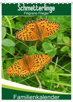 Schmetterlinge: Filigrane Flieger / Familienkalender (Tischkalender 2023 DIN A5 hoch)